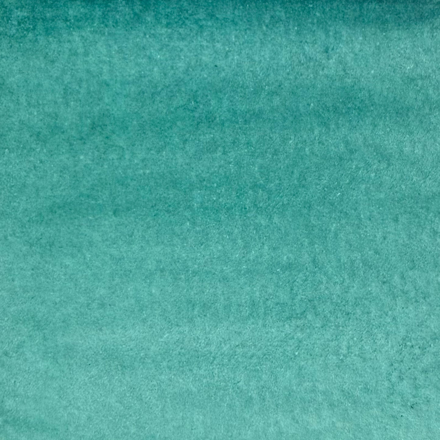 Sarcelle, aquarelle extra-fine