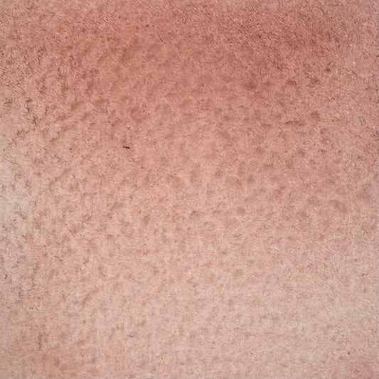 Rose vénitien, aquarelle extra-fine