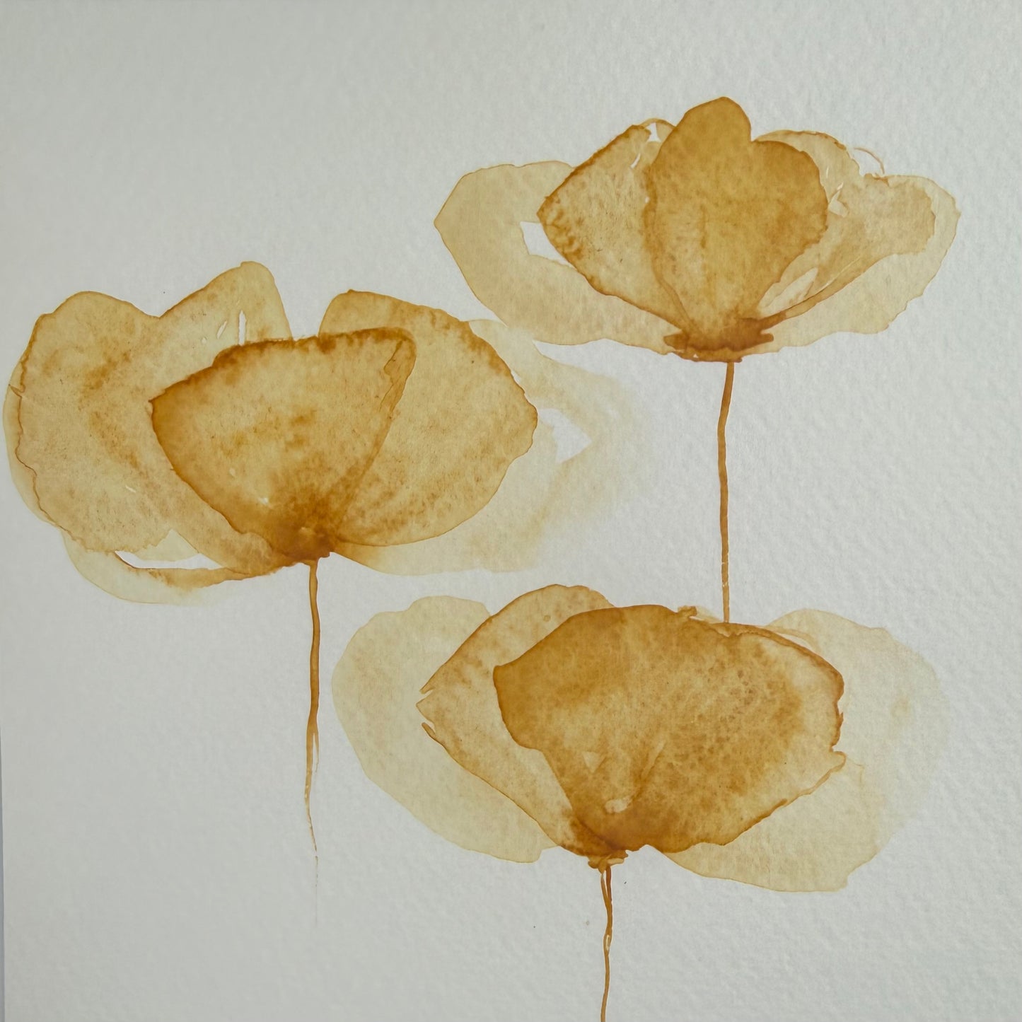 Yellow ochre, extra-fine watercolor