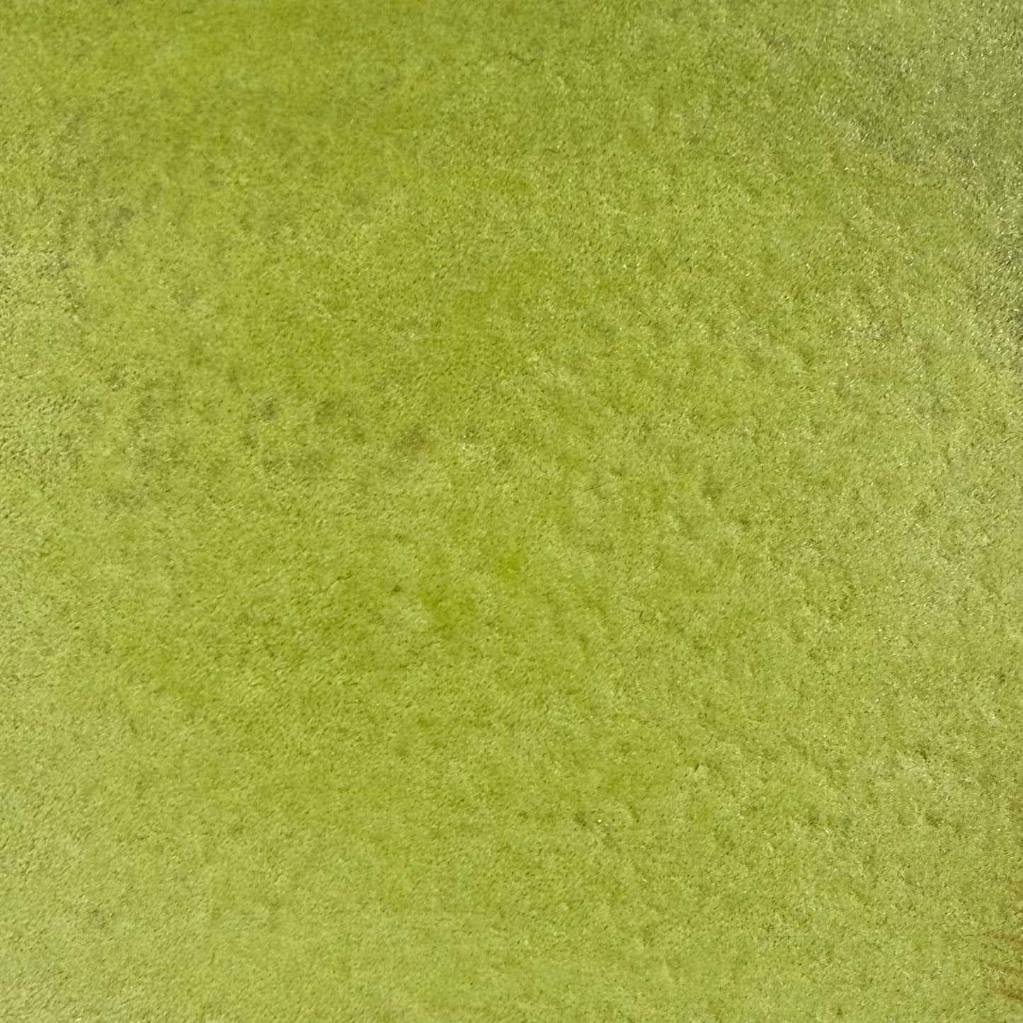 Kiwi doré, édition limitée, aquarelle extra-fine