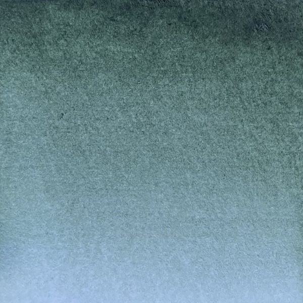 Forêt, aquarelle extra-fine