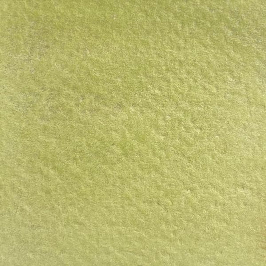 Kiwi doré, édition limitée, aquarelle extra-fine