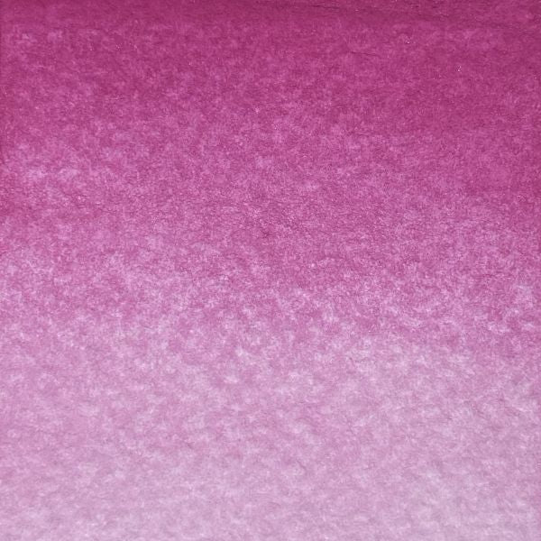 Magenta, édition limitée