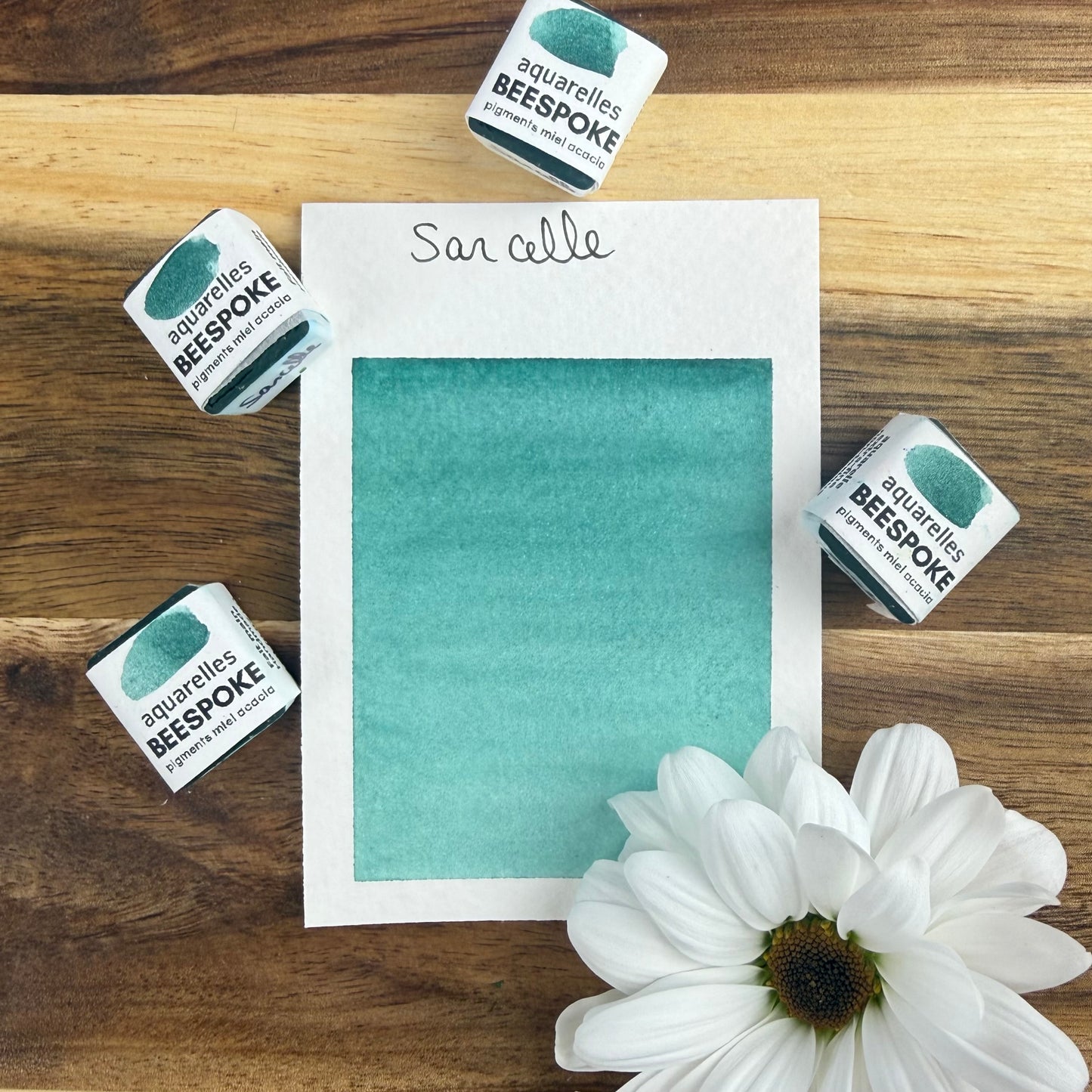 Sarcelle, aquarelle extra-fine