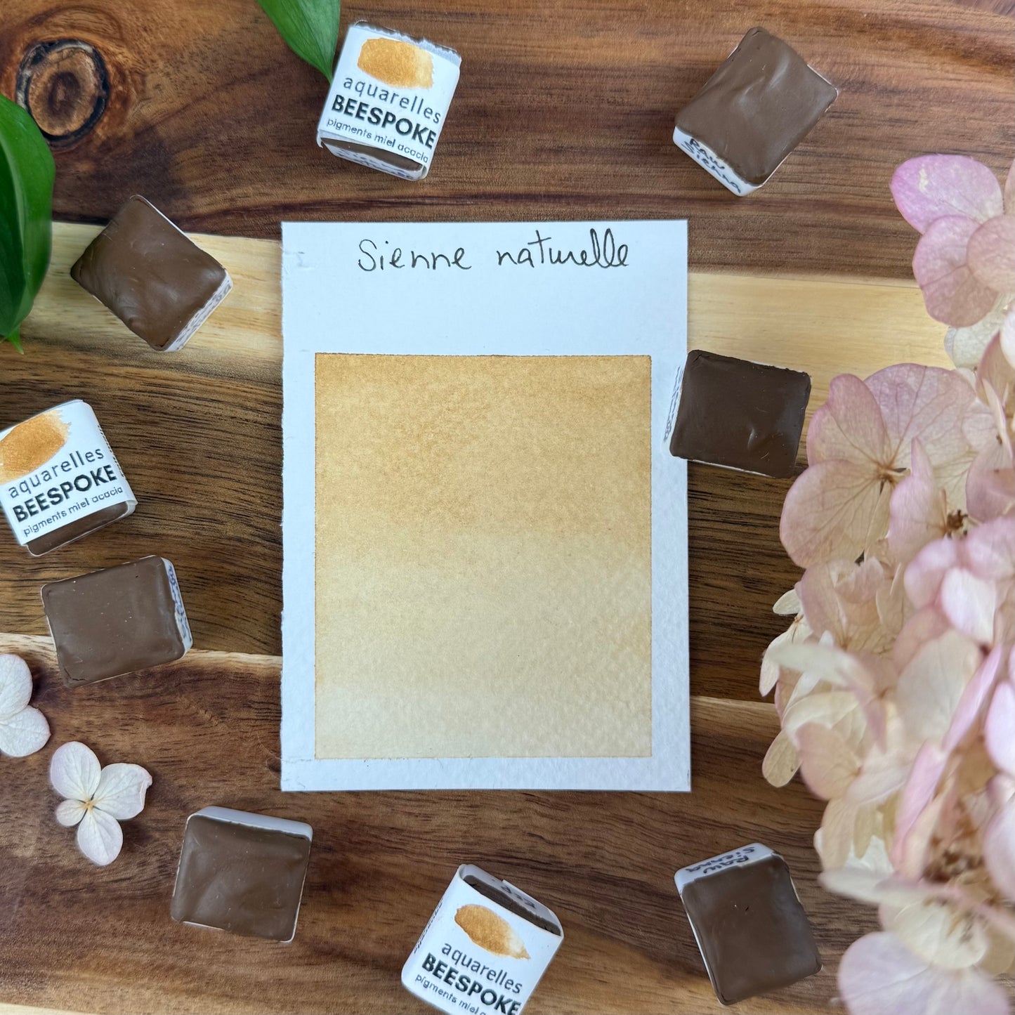 Sienne naturelle, aquarelle extra-fine