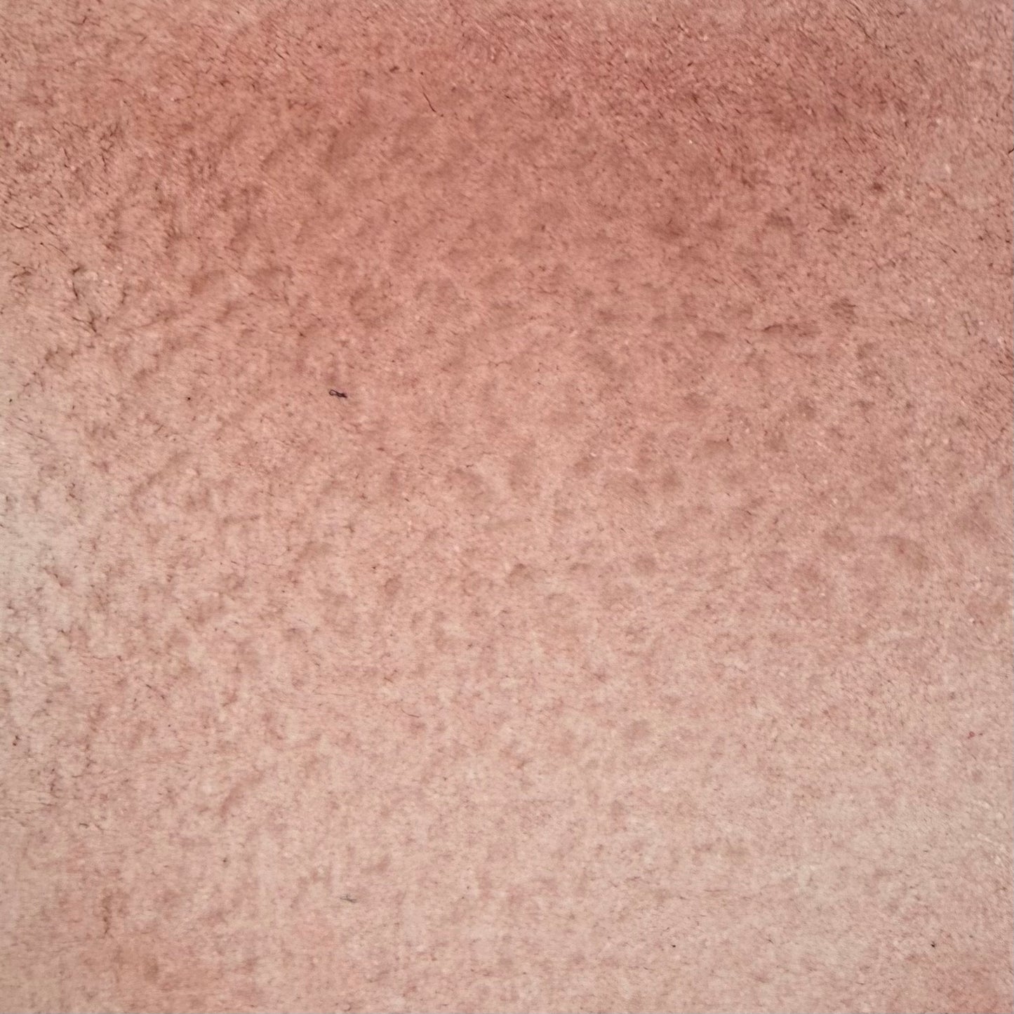 Rose vénitien, aquarelle extra-fine