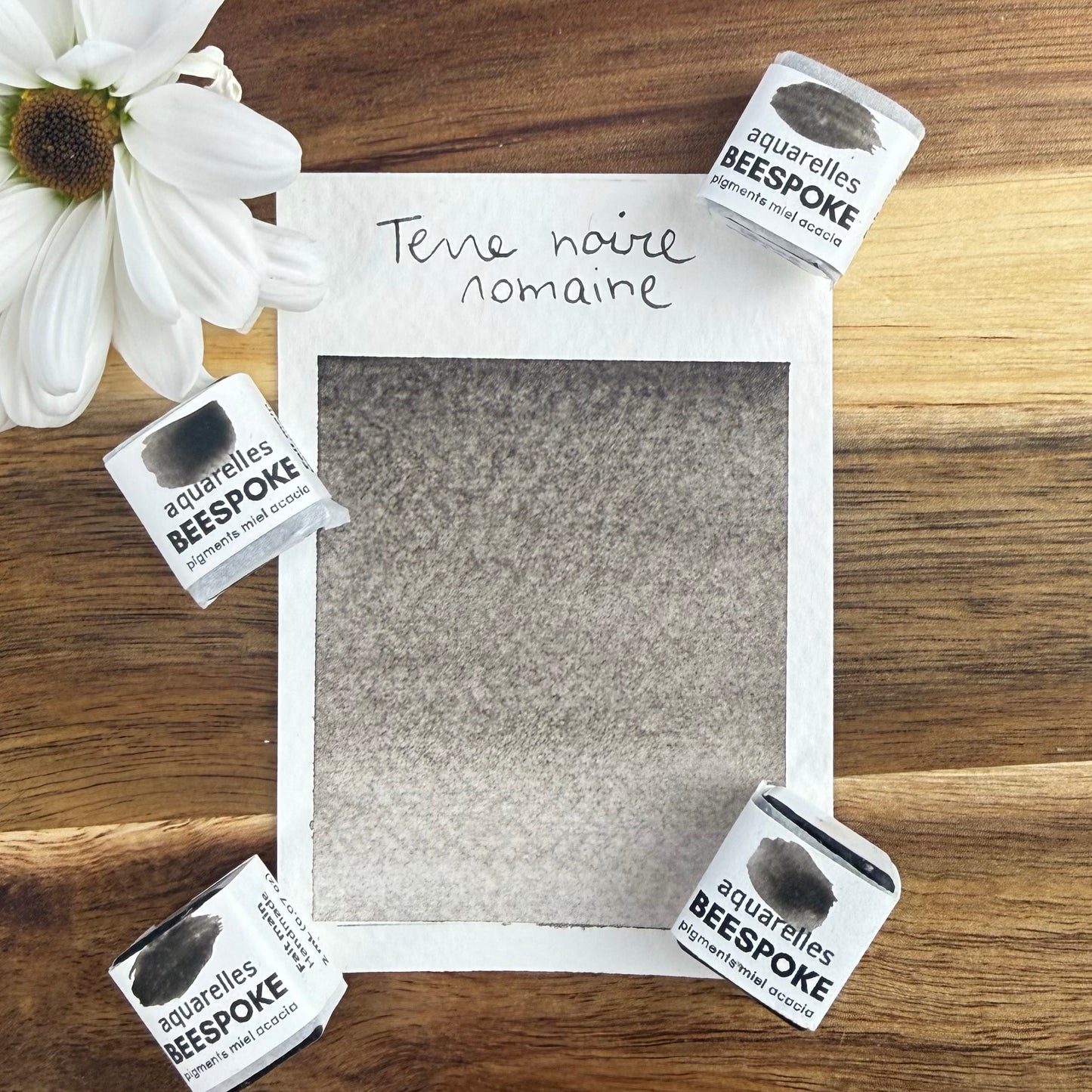 Terre noire romaine, aquarelle extra-fine