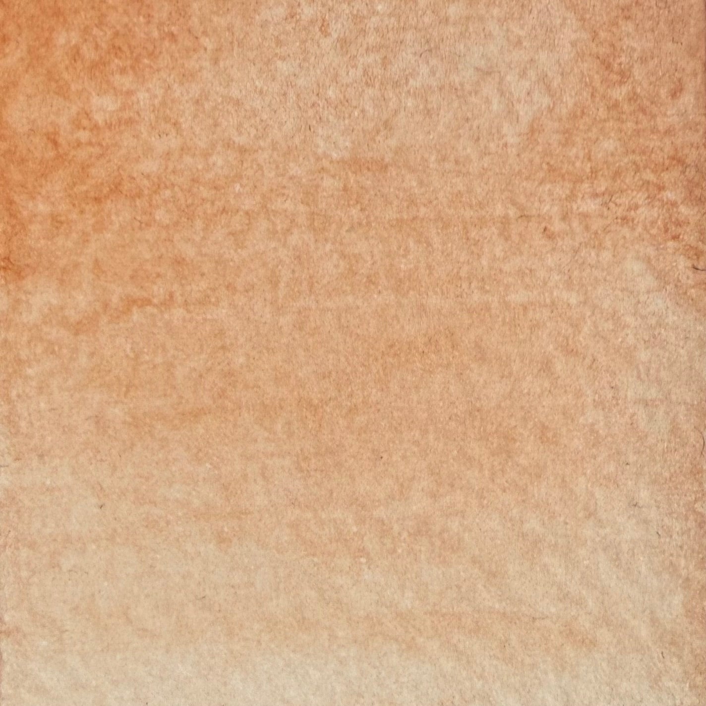 Abricot, aquarelle extra-fine