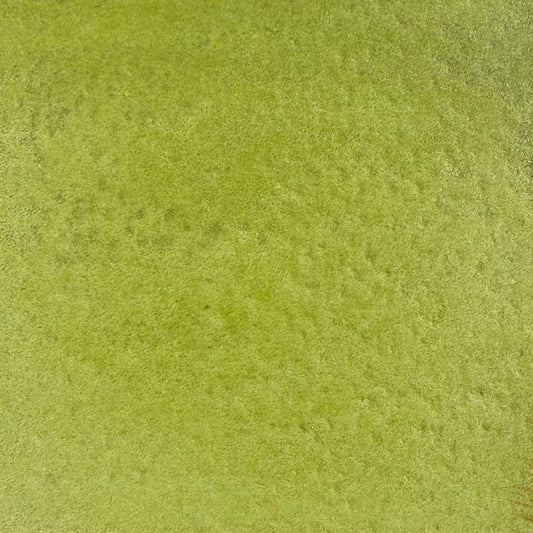 Kiwi doré, édition limitée, aquarelle extra-fine