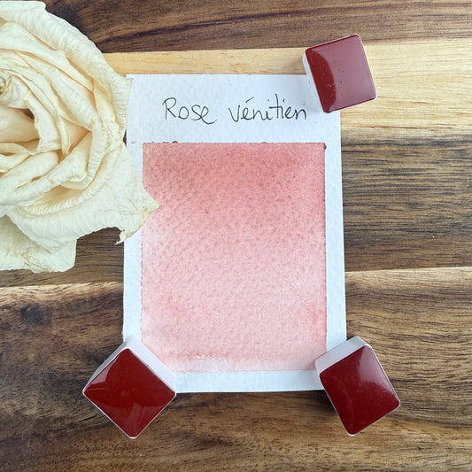 Rose vénitien, aquarelle extra-fine