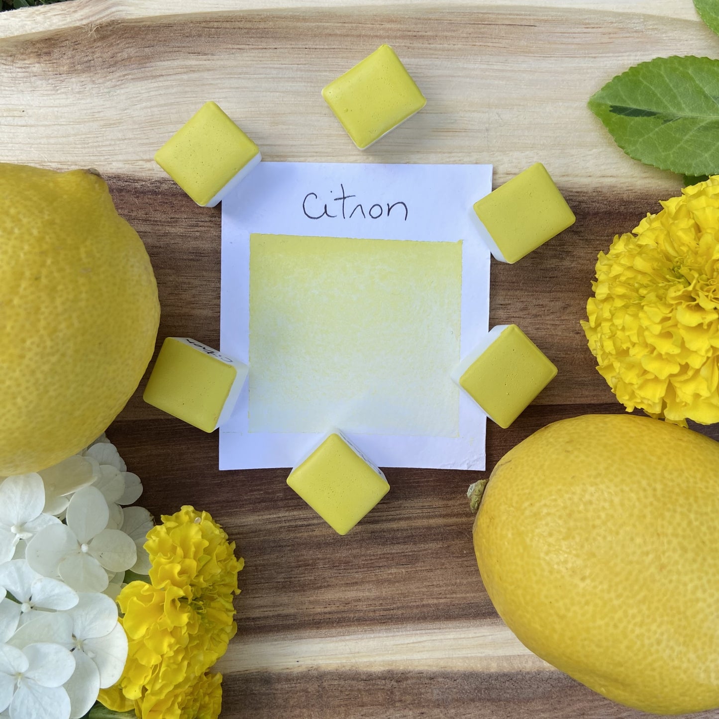 Citron, aquarelle extra-fine