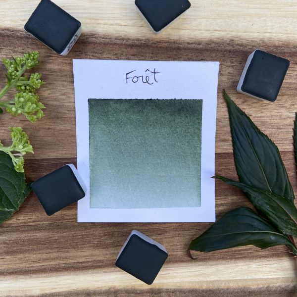 Forêt, aquarelle extra-fine