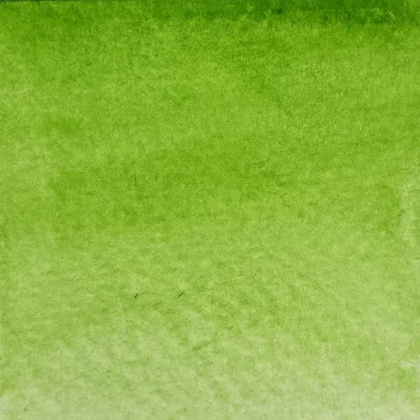Lime, aquarelle extra-fine