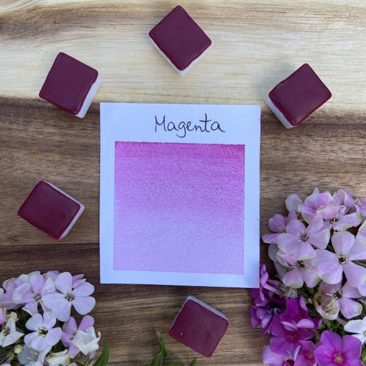 Magenta, édition limitée